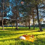 Dei Pini By Vivimy קאסארנו